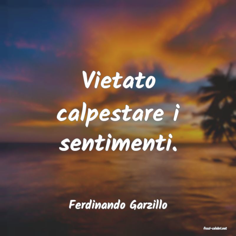 frasi di  Ferdinando Garzillo
