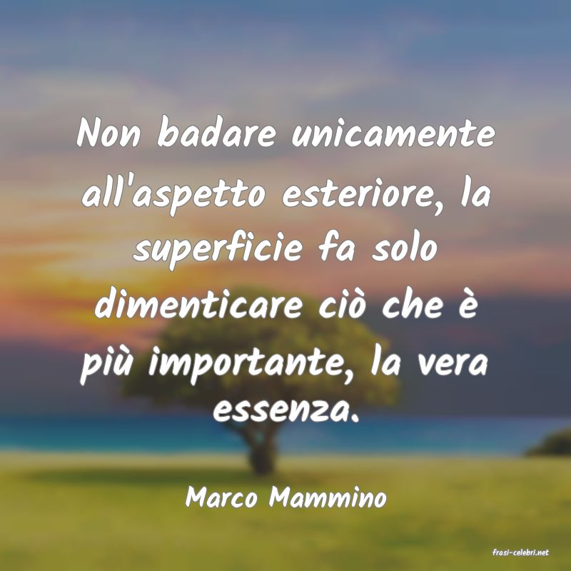 frasi di  Marco Mammino
