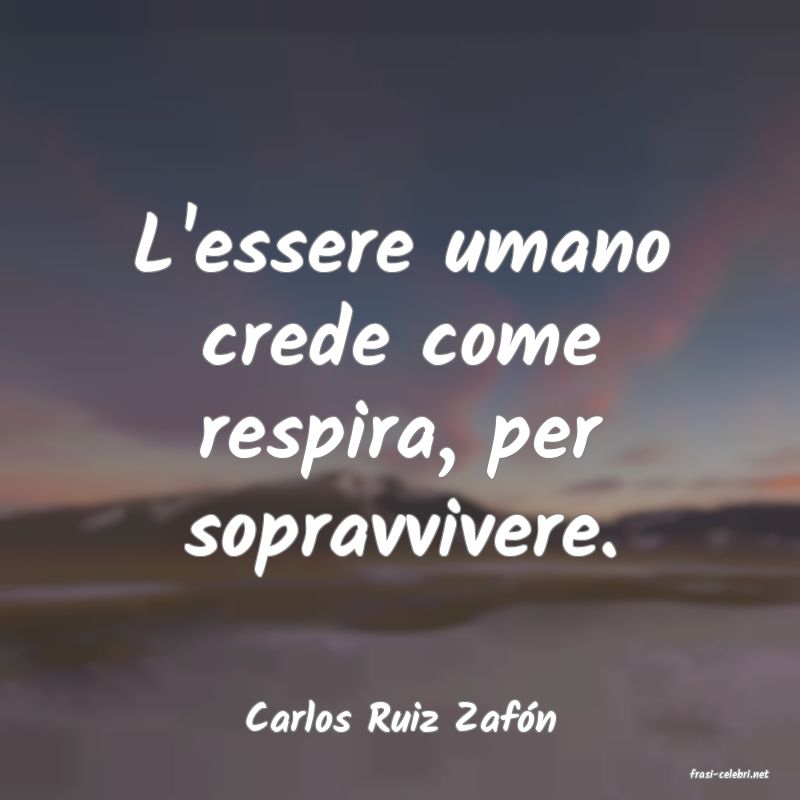 frasi di Carlos Ruiz Zafn