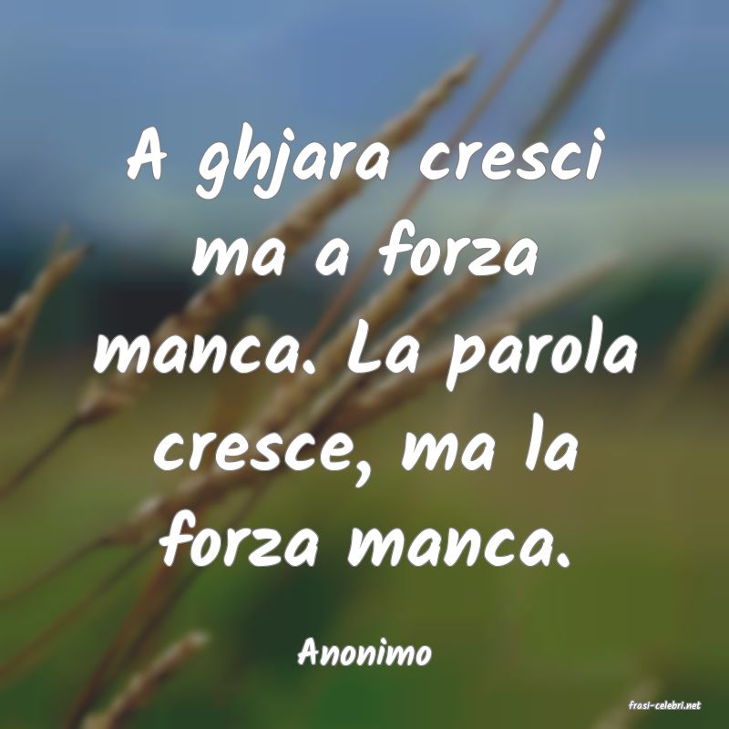 frasi di Anonimo