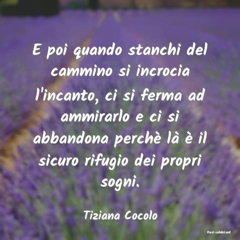 frasi di Tiziana Cocolo