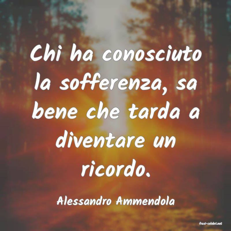 frasi di  Alessandro Ammendola
