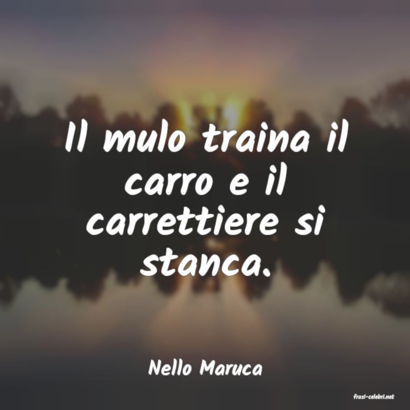 frasi di Nello Maruca