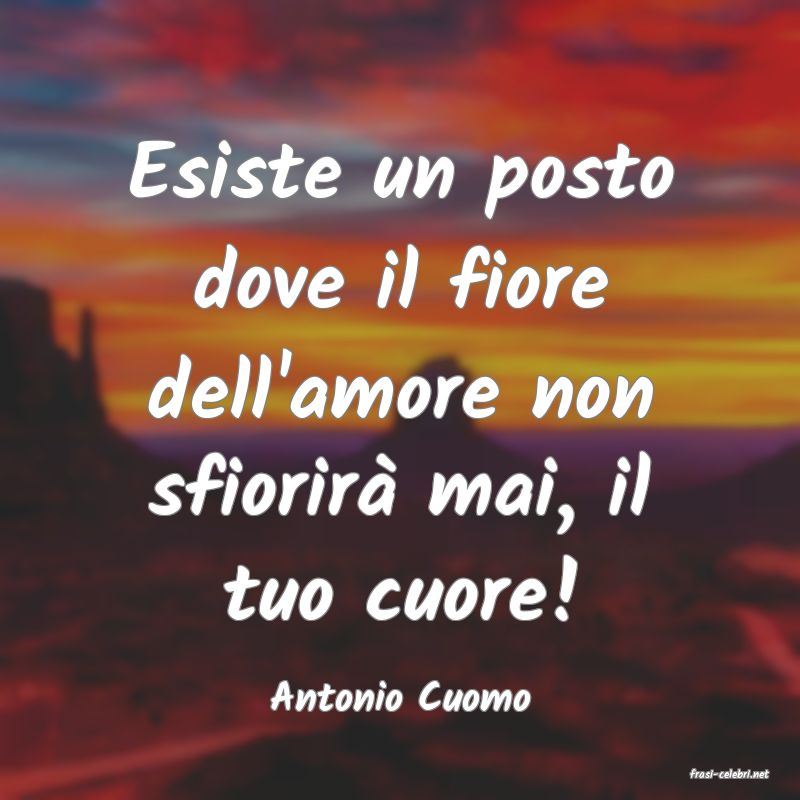 frasi di  Antonio Cuomo
