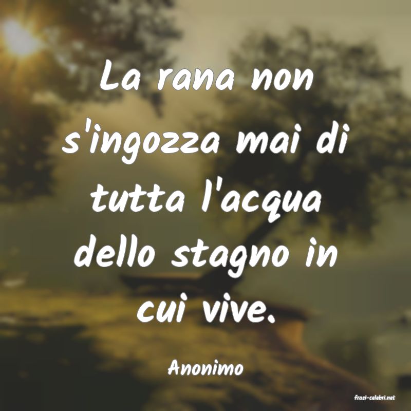 frasi di Anonimo