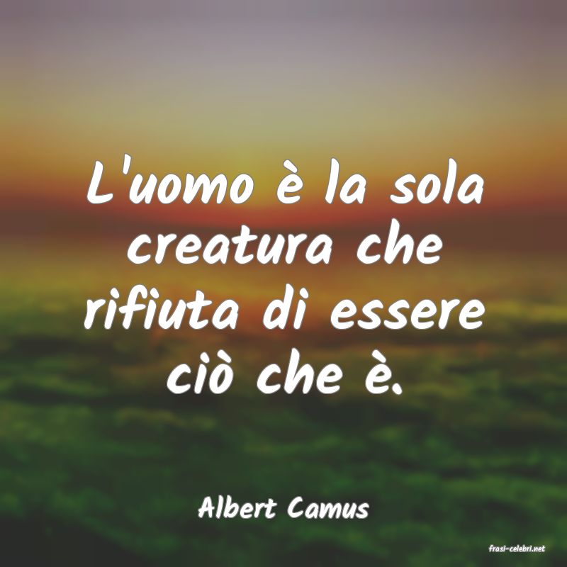 frasi di Albert Camus