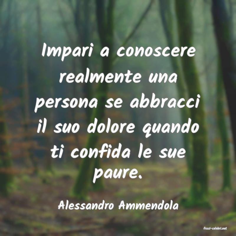 frasi di  Alessandro Ammendola

