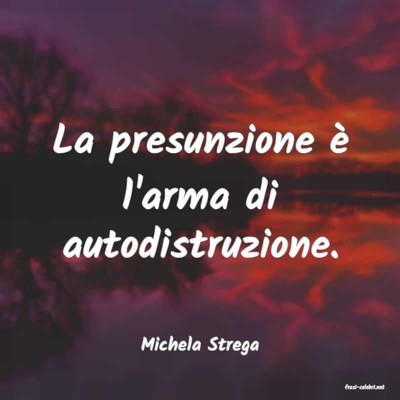 frasi di  Michela Strega
