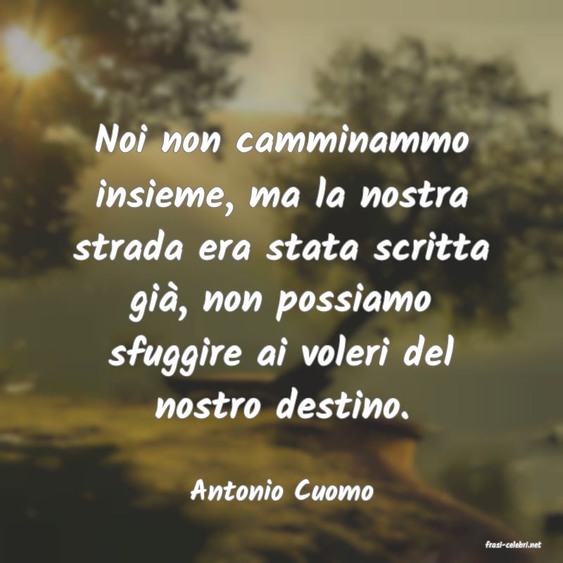 frasi di  Antonio Cuomo
