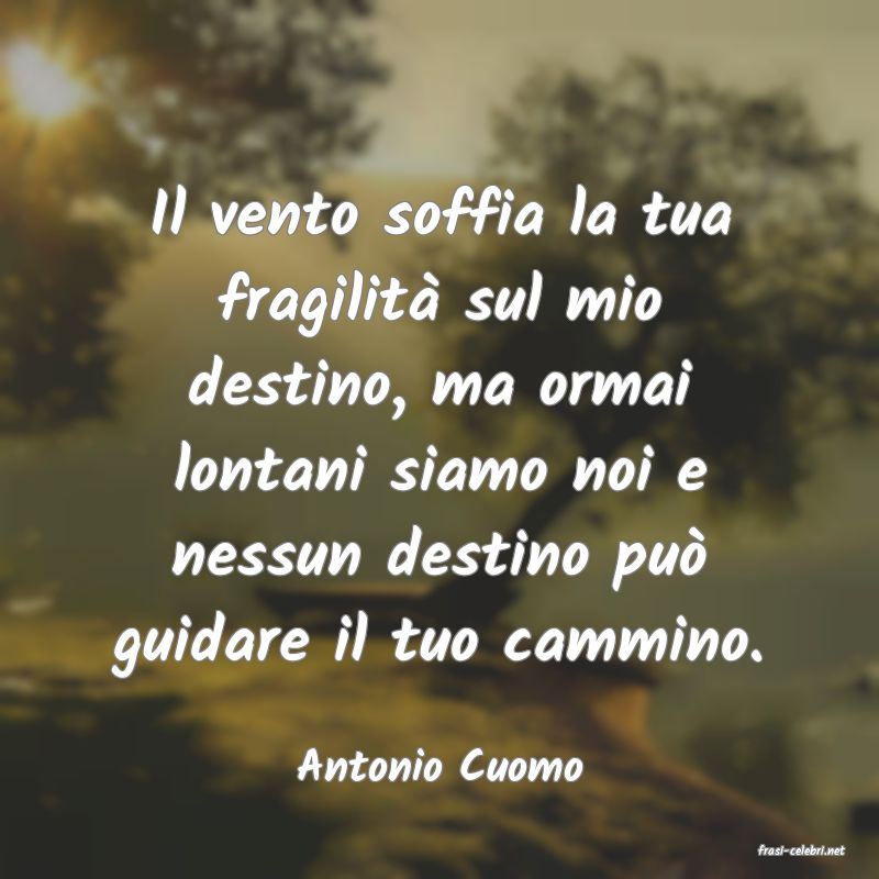 frasi di  Antonio Cuomo
