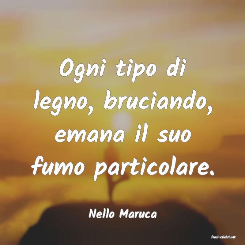frasi di  Nello Maruca
