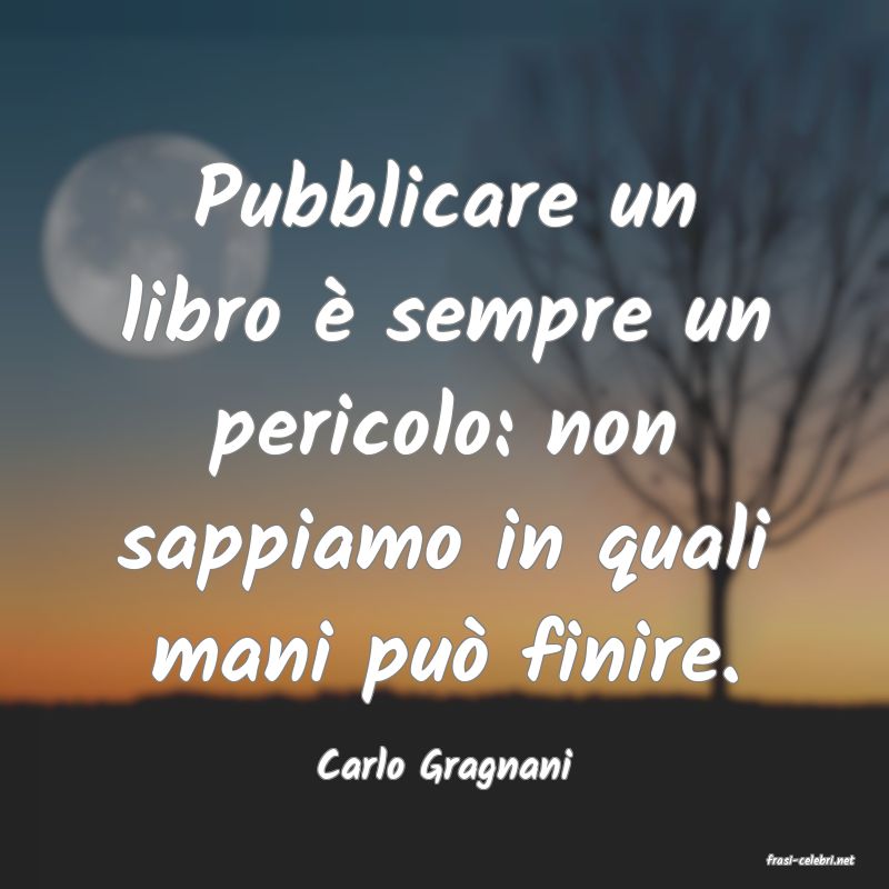 frasi di  Carlo Gragnani
