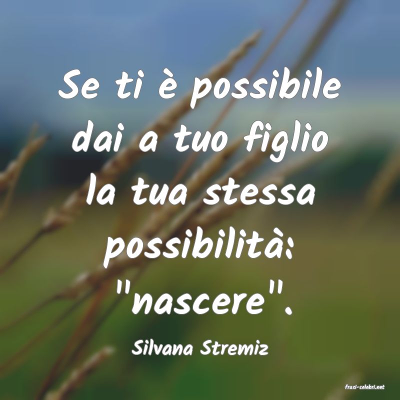 frasi di  Silvana Stremiz
