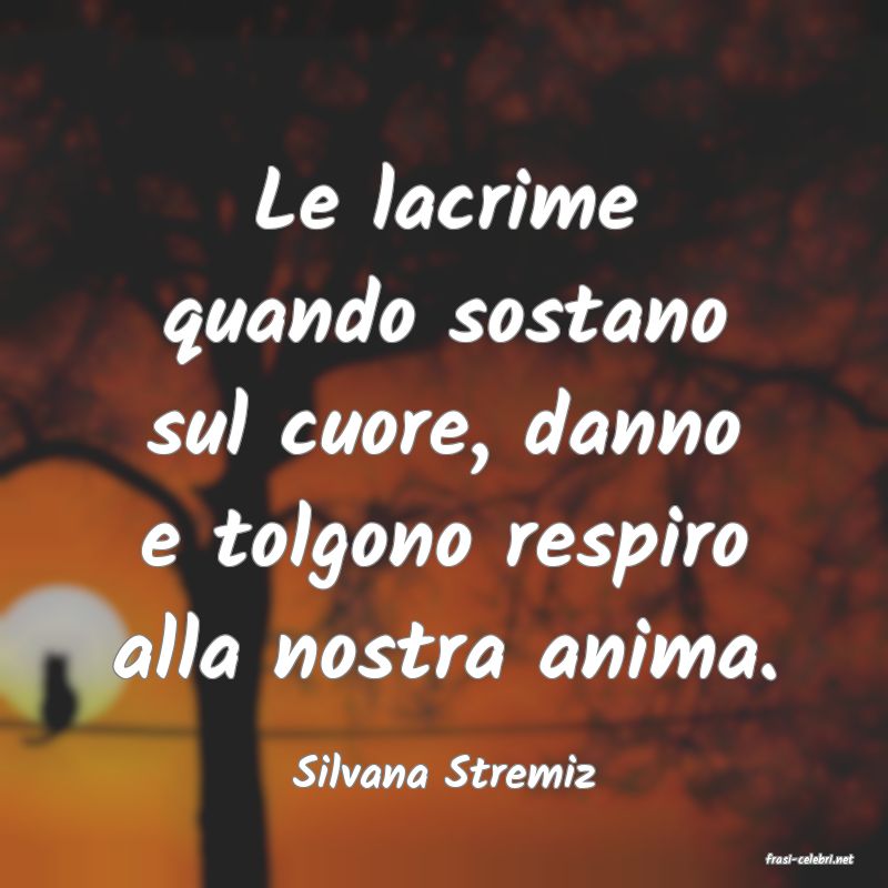 frasi di  Silvana Stremiz
