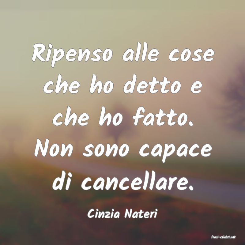 frasi di  Cinzia Nateri
