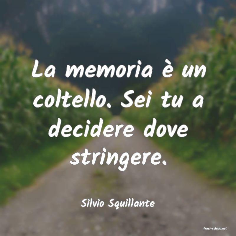 frasi di  Silvio Squillante

