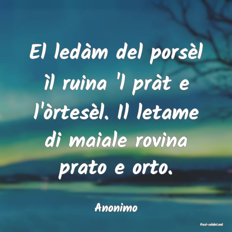 frasi di Anonimo