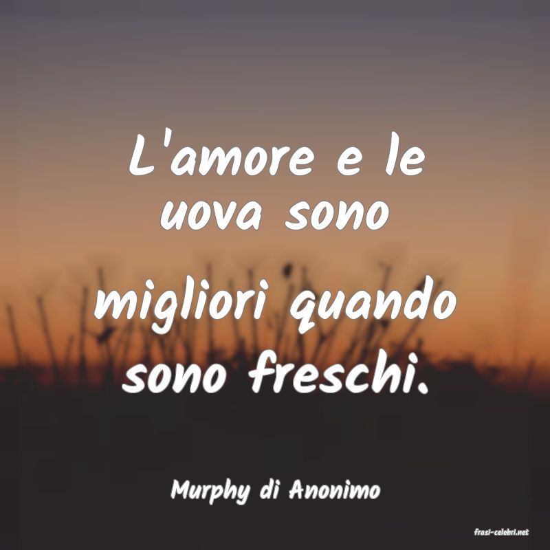 frasi di Murphy di Anonimo