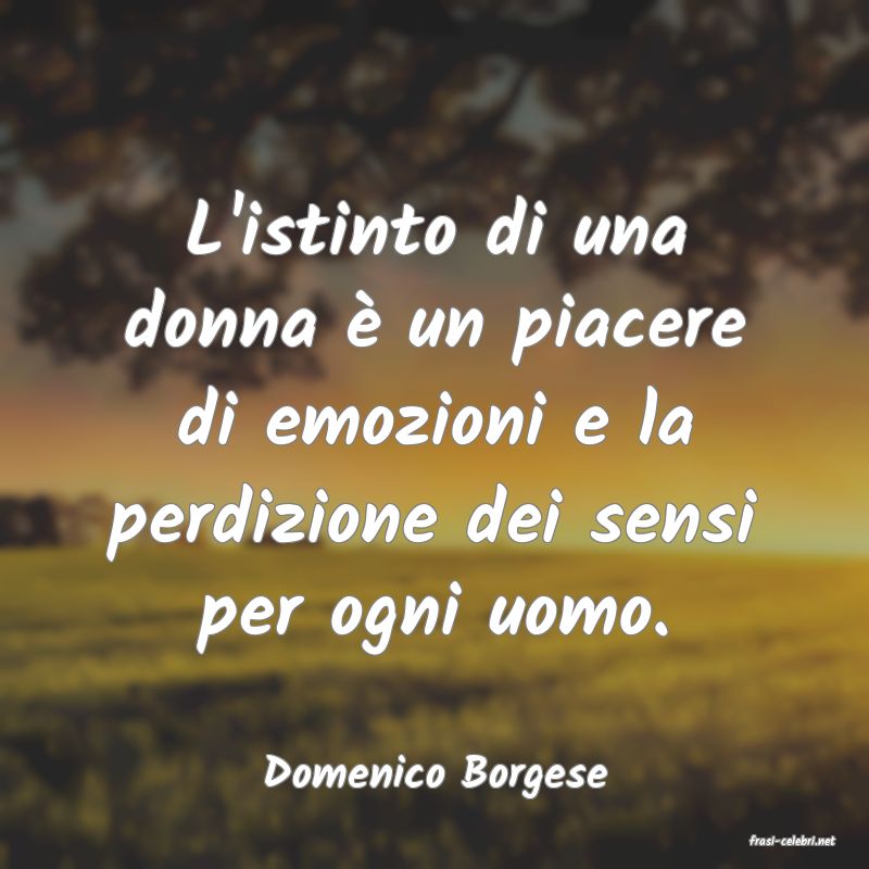 frasi di Domenico Borgese