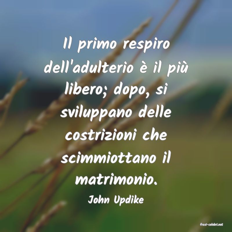 frasi di John Updike