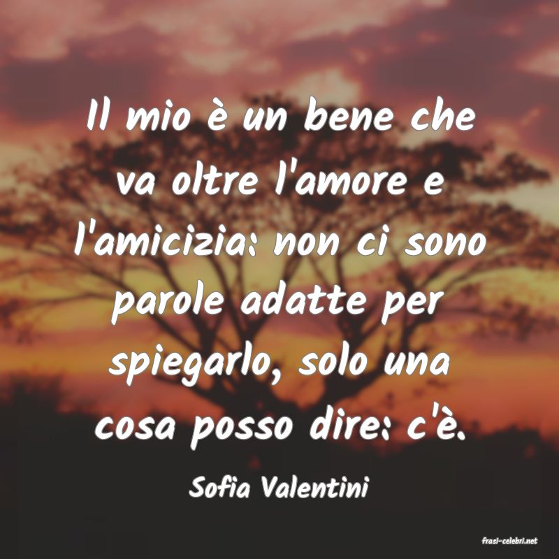 frasi di  Sofia Valentini
