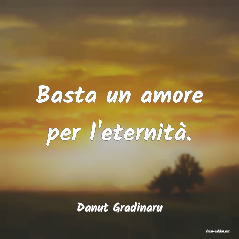 frasi di  Danut Gradinaru
