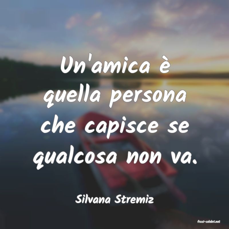 frasi di  Silvana Stremiz
