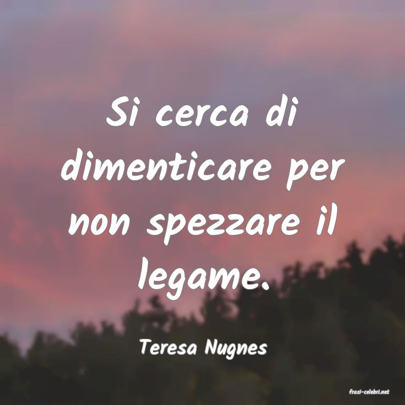 frasi di  Teresa Nugnes
