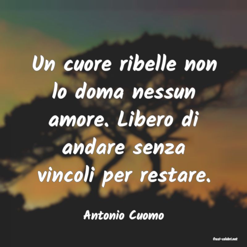 frasi di  Antonio Cuomo
