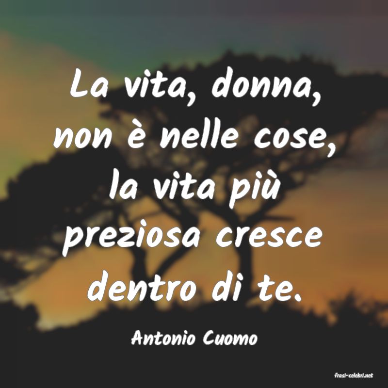 frasi di  Antonio Cuomo
