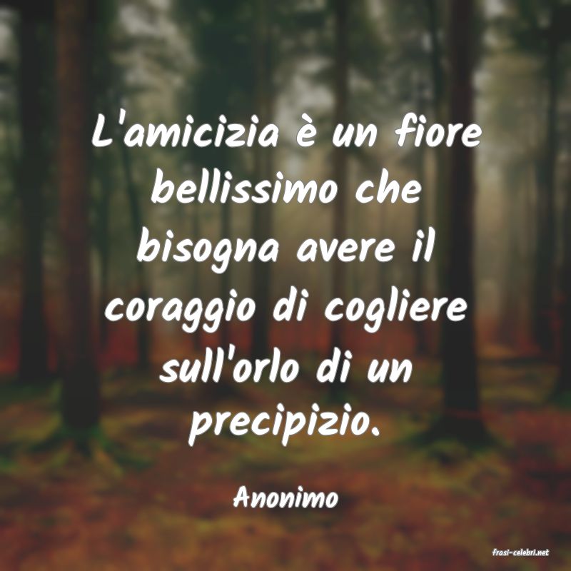 frasi di  Anonimo
