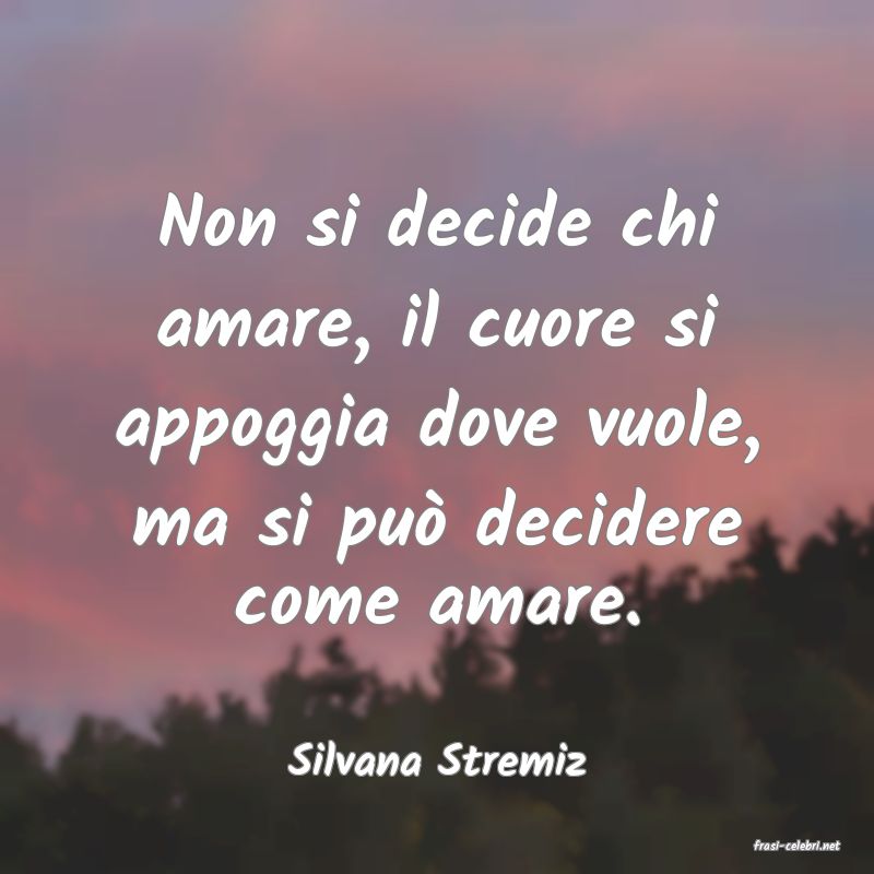 frasi di  Silvana Stremiz
