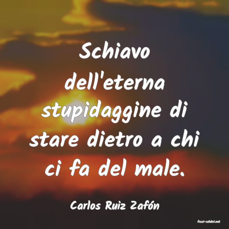 frasi di Carlos Ruiz Zafn