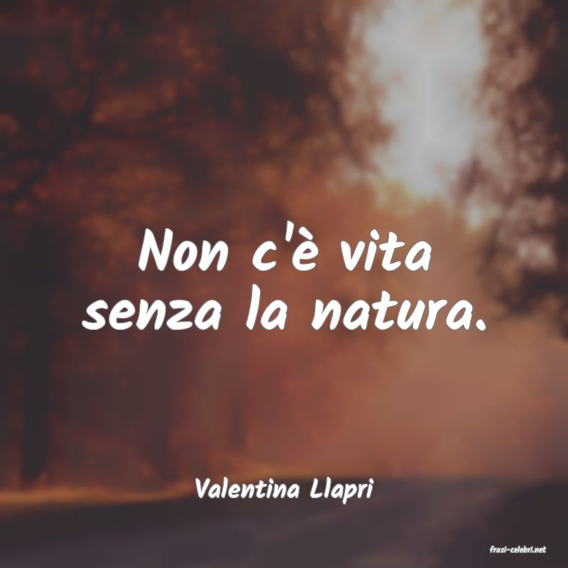 frasi di  Valentina Llapri
