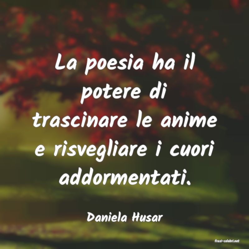 frasi di  Daniela Husar
