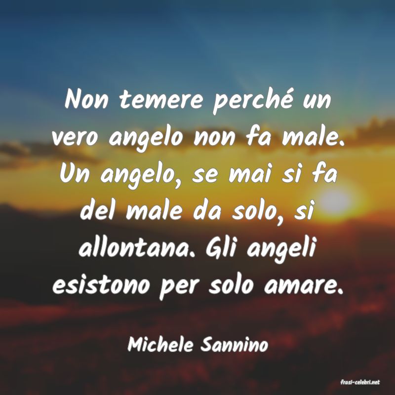 frasi di  Michele Sannino
