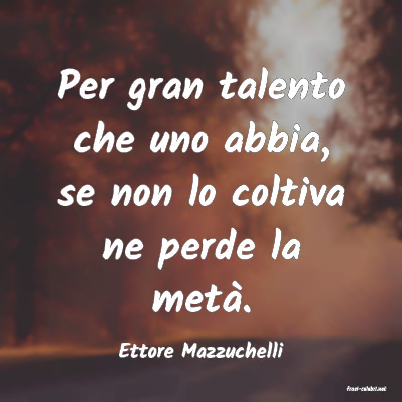 frasi di  Ettore Mazzuchelli
