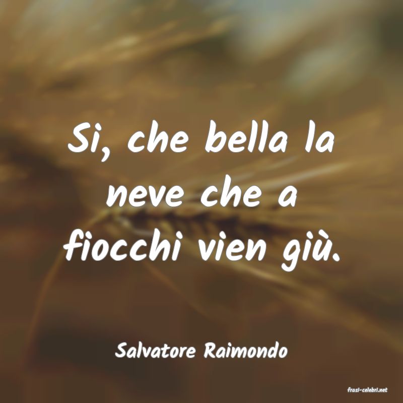 frasi di  Salvatore Raimondo
