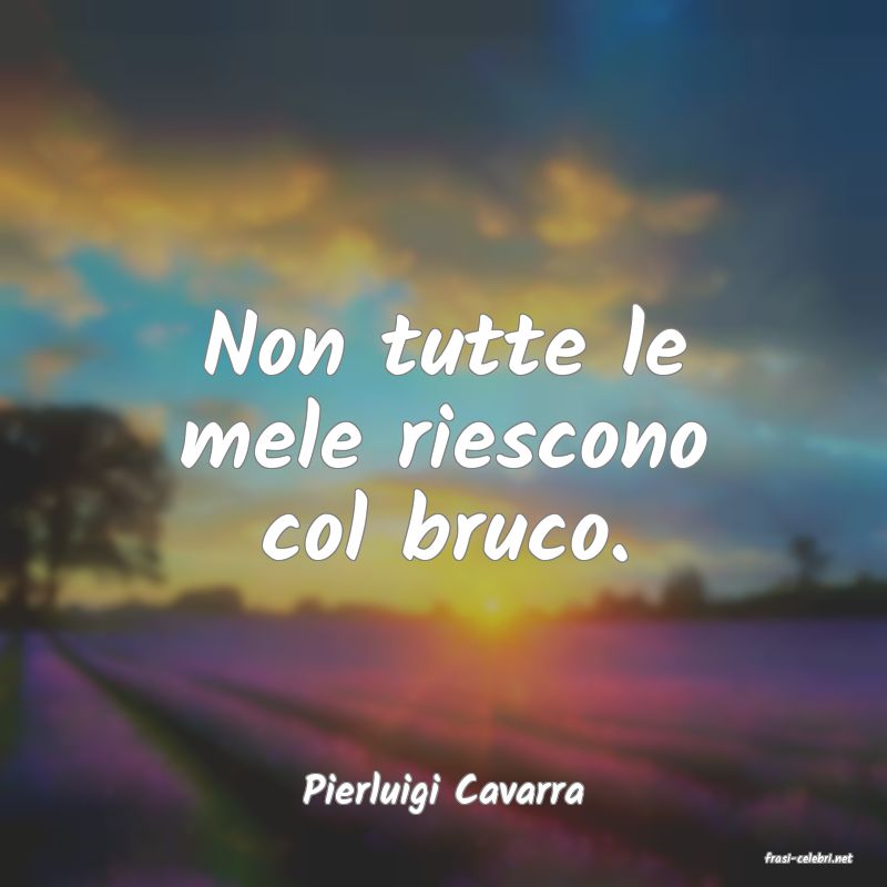 frasi di Pierluigi Cavarra