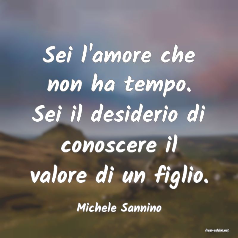 frasi di  Michele Sannino
