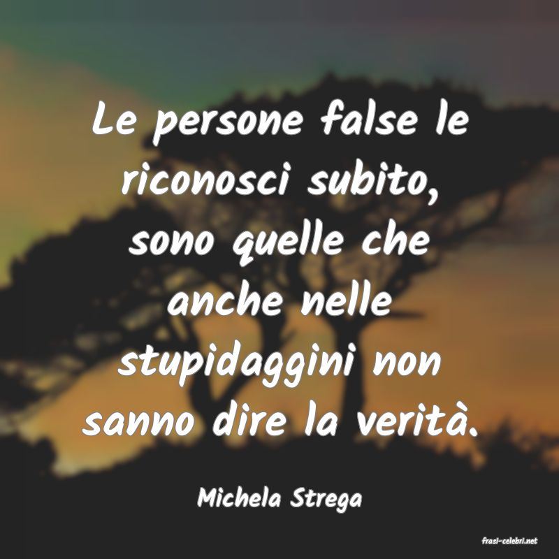 frasi di Michela Strega