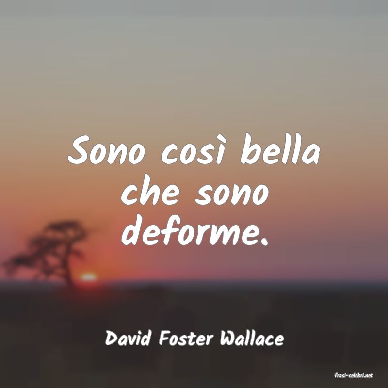 frasi di  David Foster Wallace
