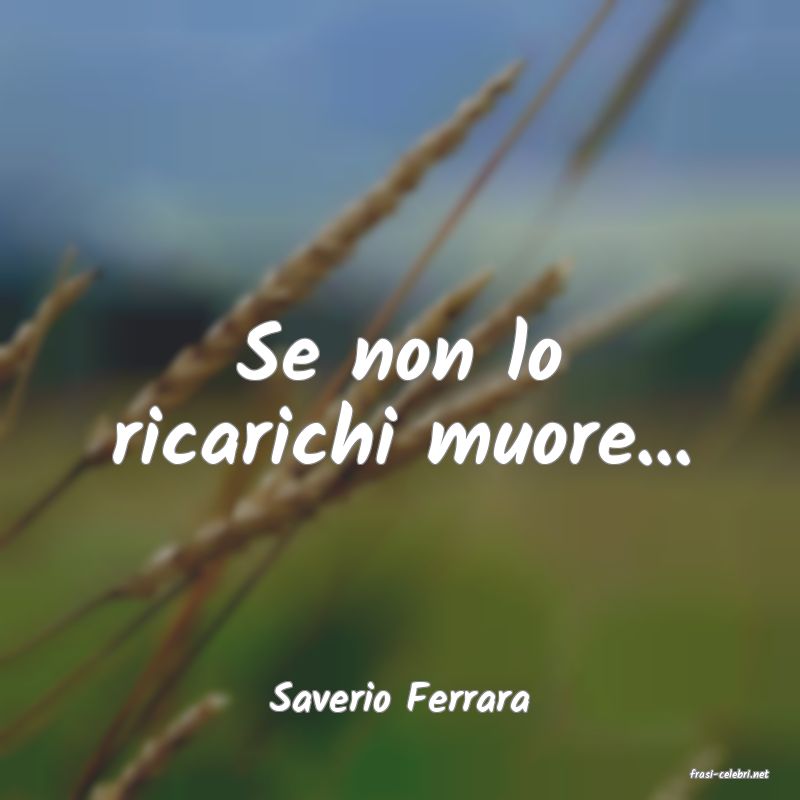 frasi di  Saverio Ferrara
