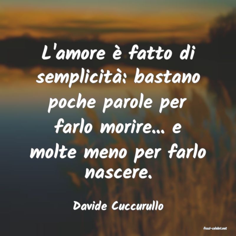 frasi di  Davide Cuccurullo
