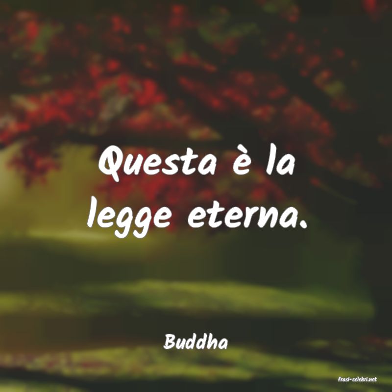 frasi di  Buddha
