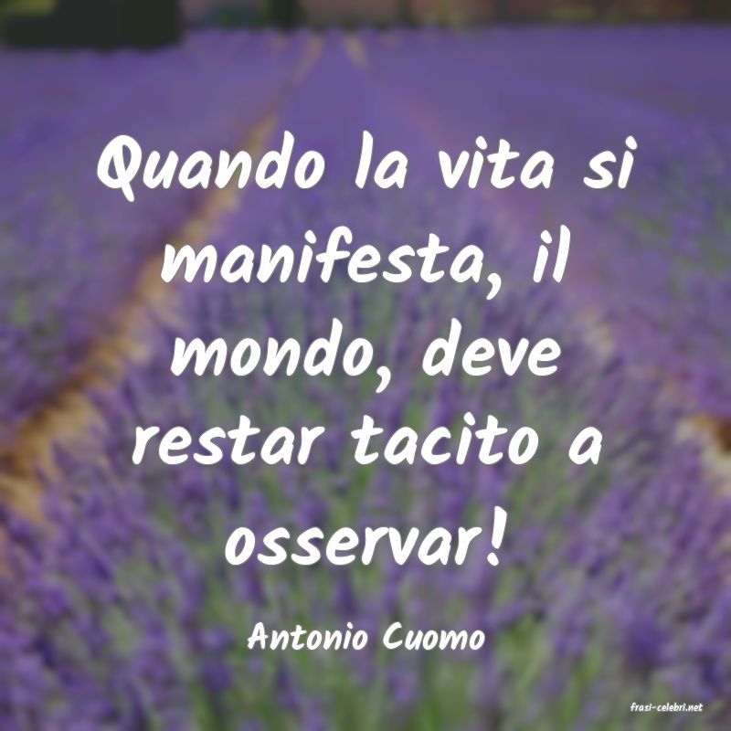 frasi di  Antonio Cuomo
