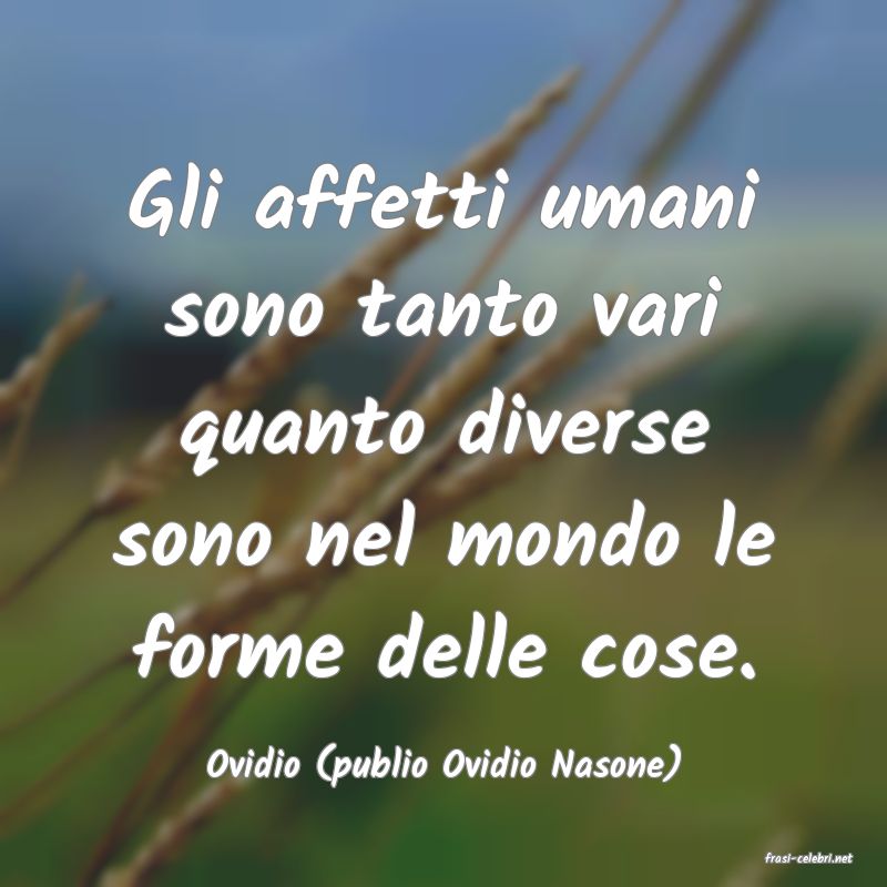 frasi di  Ovidio (publio Ovidio Nasone)
