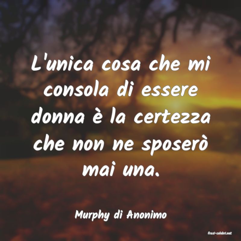 frasi di Murphy di Anonimo