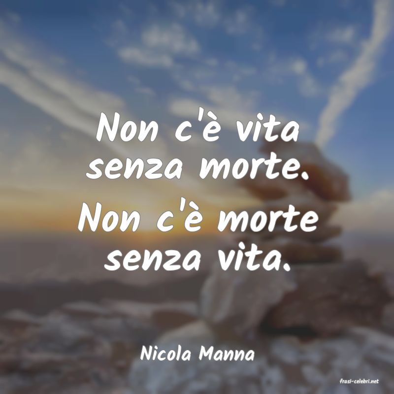 frasi di Nicola Manna