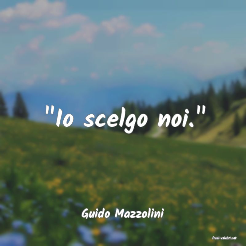 frasi di  Guido Mazzolini
